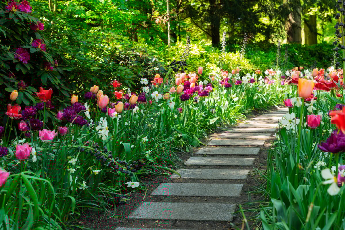 Spring Tulips Flowerbeds
